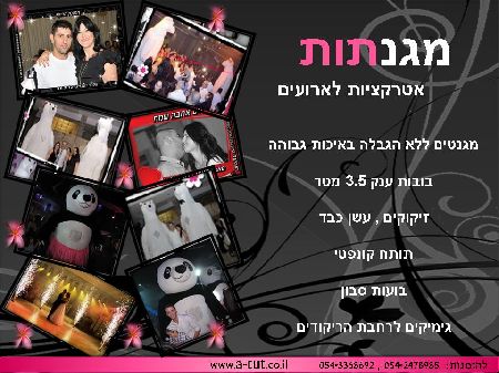 מגנתות