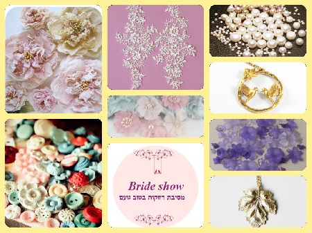 BRIDE SHOW  מסיבת רווקות בטוב טעם