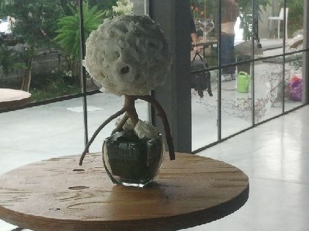 L.O Events studio