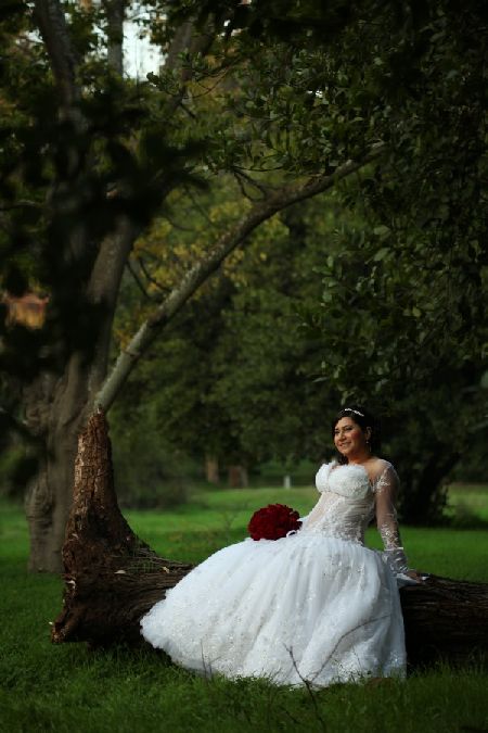 Lidia