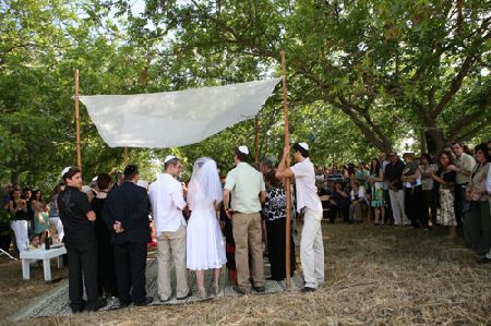 עמיר הולץ