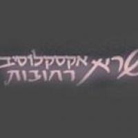 לוגו של העסק