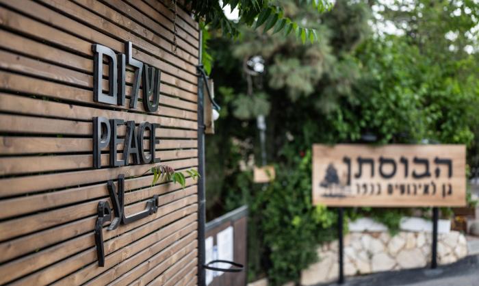 תמונה מספר 4