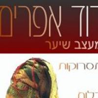 לוגו של העסק