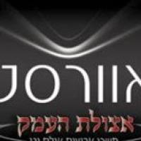 לוגו של העסק