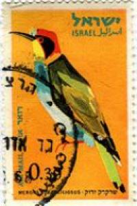 לוגו של העסק