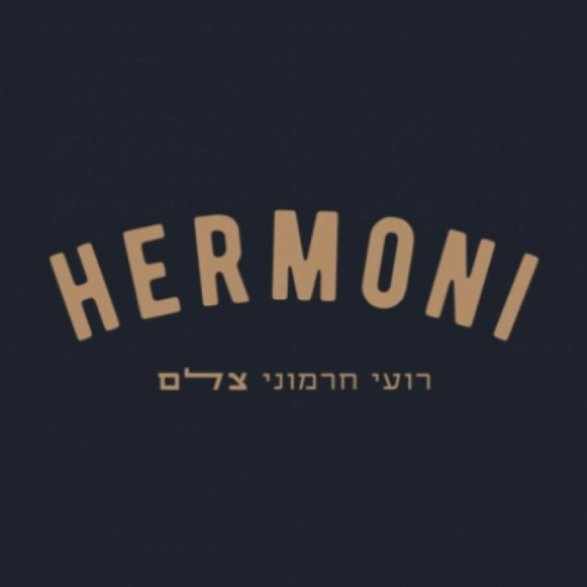 לוגו של העסק