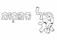 פיל הפקות