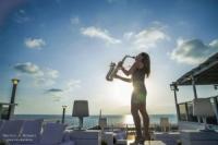 לוגו של העסק