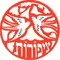 סטודיו ציפורות