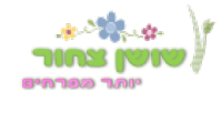 משלוחי פרחים במרכז