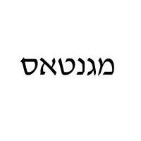 לוגו של העסק