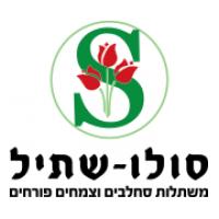 סולושתיל Soloshtil