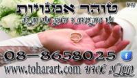 טוהר אומנויות