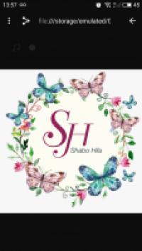 פרחים ועיצובים S.H