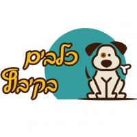 כלבים בקיבוץ-ליווי כלבים לחתונה