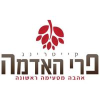 לוגו של העסק