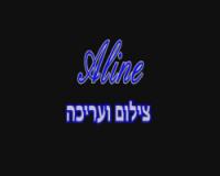 לוגו של העסק