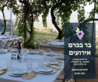 לוגו של העסק