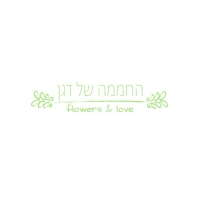 החממה של דגן