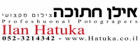 אילן חתוכה צילום אירועים מקצועי