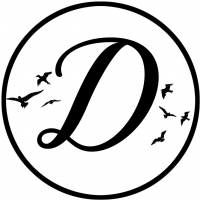 Dream Productions