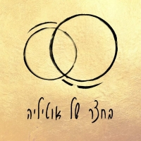לוגו של העסק