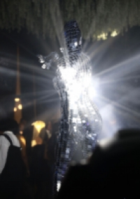 The dance show