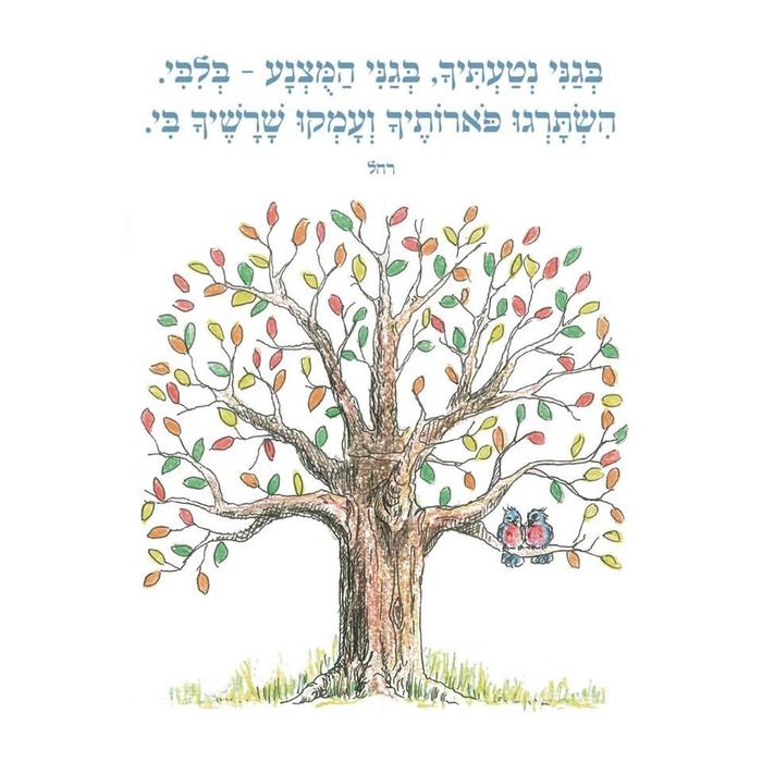יאיר נסימי.