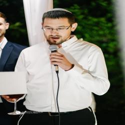צבי מנדל