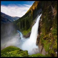 shaylimosses